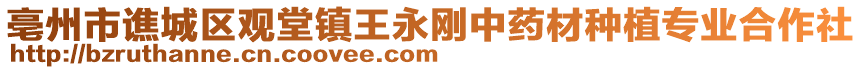 亳州市譙城區(qū)觀堂鎮(zhèn)王永剛中藥材種植專(zhuān)業(yè)合作社