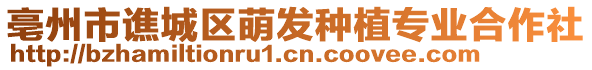 亳州市譙城區萌發種植專業合作社