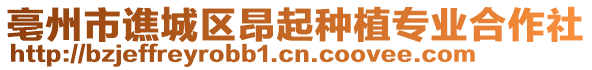 亳州市譙城區昂起種植專業合作社