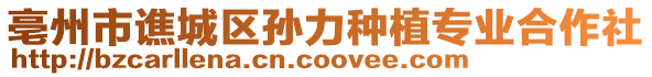 亳州市譙城區孫力種植專業合作社