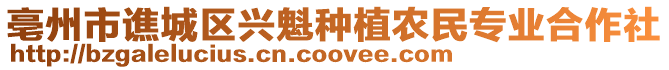 亳州市譙城區(qū)興魁種植農(nóng)民專業(yè)合作社