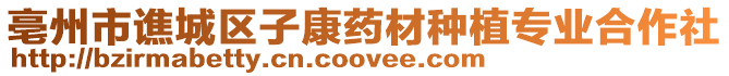 亳州市譙城區子康藥材種植專業合作社