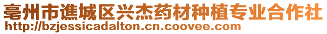 亳州市譙城區(qū)興杰藥材種植專業(yè)合作社