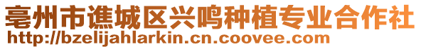 亳州市譙城區興鳴種植專業合作社