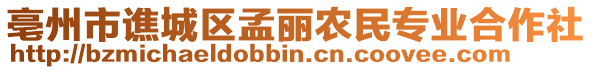 亳州市譙城區孟麗農民專業合作社
