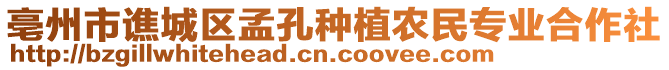 亳州市譙城區孟孔種植農民專業合作社