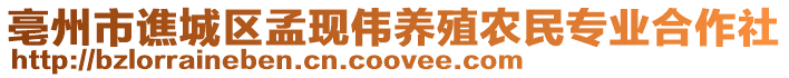 亳州市譙城區孟現偉養殖農民專業合作社