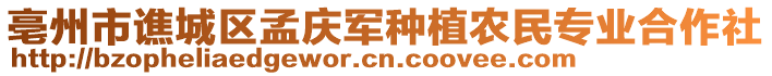 亳州市譙城區孟慶軍種植農民專業合作社