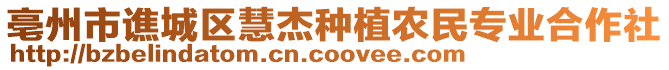 亳州市譙城區慧杰種植農民專業合作社