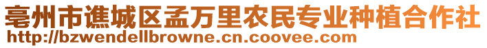 亳州市譙城區(qū)孟萬(wàn)里農(nóng)民專業(yè)種植合作社