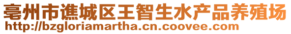亳州市譙城區(qū)王智生水產(chǎn)品養(yǎng)殖場