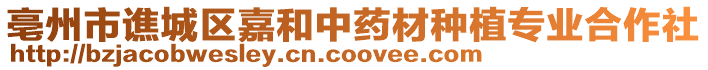 亳州市譙城區(qū)嘉和中藥材種植專業(yè)合作社