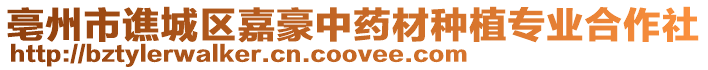 亳州市譙城區嘉豪中藥材種植專業合作社