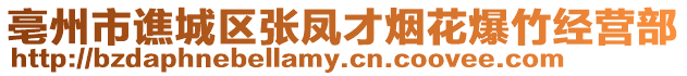 亳州市譙城區(qū)張鳳才煙花爆竹經(jīng)營部