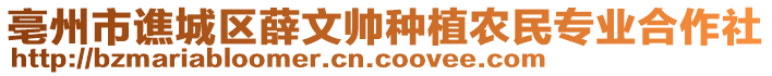 亳州市譙城區(qū)薛文帥種植農(nóng)民專(zhuān)業(yè)合作社