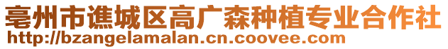 亳州市譙城區(qū)高廣森種植專業(yè)合作社