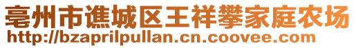 亳州市譙城區王祥攀家庭農場