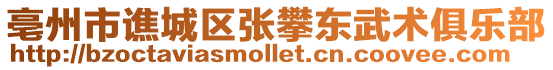 亳州市譙城區(qū)張攀東武術(shù)俱樂部