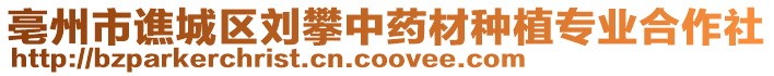 亳州市譙城區劉攀中藥材種植專業合作社