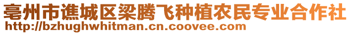 亳州市譙城區(qū)梁騰飛種植農(nóng)民專業(yè)合作社