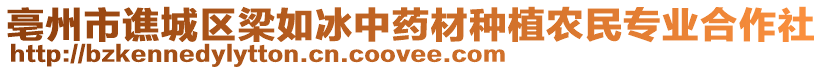 亳州市譙城區(qū)梁如冰中藥材種植農(nóng)民專業(yè)合作社