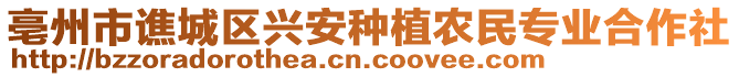 亳州市譙城區興安種植農民專業合作社