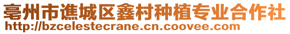 亳州市譙城區(qū)鑫村種植專業(yè)合作社