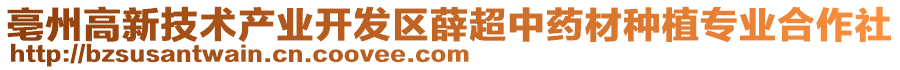 亳州高新技術(shù)產(chǎn)業(yè)開發(fā)區(qū)薛超中藥材種植專業(yè)合作社