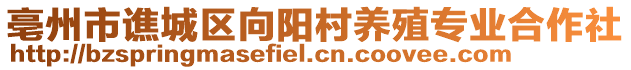 亳州市譙城區向陽村養殖專業合作社