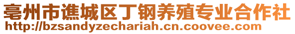 亳州市譙城區(qū)丁鋼養(yǎng)殖專業(yè)合作社