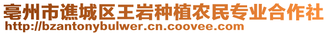 亳州市譙城區(qū)王巖種植農(nóng)民專業(yè)合作社