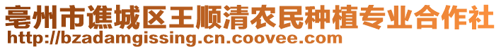 亳州市譙城區王順清農民種植專業合作社