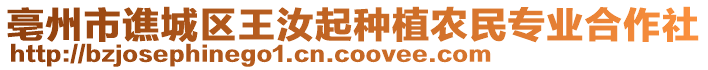 亳州市譙城區(qū)王汝起種植農(nóng)民專業(yè)合作社