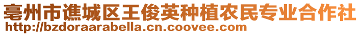 亳州市譙城區王俊英種植農民專業合作社