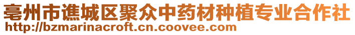 亳州市譙城區聚眾中藥材種植專業合作社