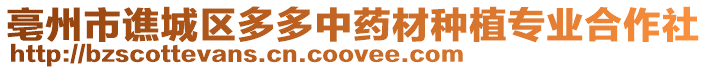 亳州市譙城區多多中藥材種植專業合作社