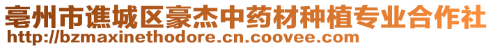 亳州市譙城區豪杰中藥材種植專業合作社