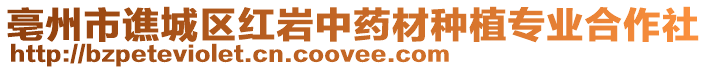 亳州市譙城區(qū)紅巖中藥材種植專業(yè)合作社