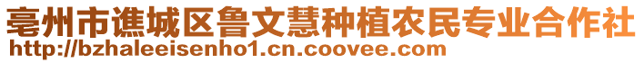 亳州市譙城區(qū)魯文慧種植農(nóng)民專業(yè)合作社