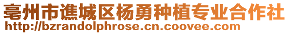 亳州市譙城區(qū)楊勇種植專業(yè)合作社