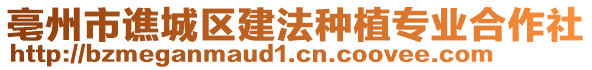 亳州市譙城區(qū)建法種植專業(yè)合作社
