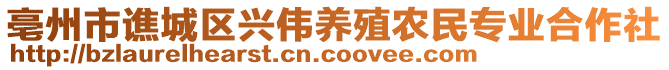 亳州市譙城區(qū)興偉養(yǎng)殖農(nóng)民專業(yè)合作社