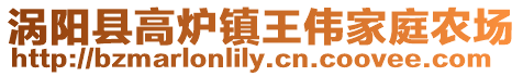 渦陽縣高爐鎮王偉家庭農場