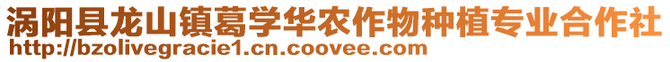 渦陽縣龍山鎮(zhèn)葛學(xué)華農(nóng)作物種植專業(yè)合作社