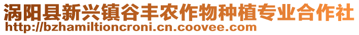 渦陽縣新興鎮(zhèn)谷豐農(nóng)作物種植專業(yè)合作社