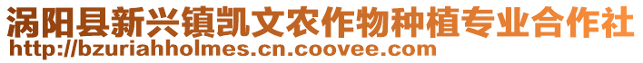 渦陽縣新興鎮凱文農作物種植專業合作社