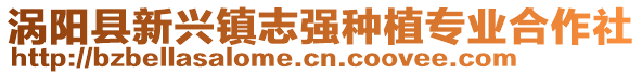 渦陽(yáng)縣新興鎮(zhèn)志強(qiáng)種植專業(yè)合作社