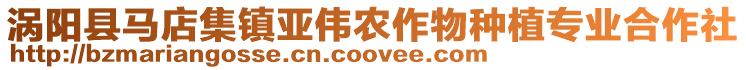 渦陽縣馬店集鎮亞偉農作物種植專業合作社