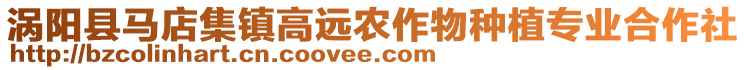 渦陽(yáng)縣馬店集鎮(zhèn)高遠(yuǎn)農(nóng)作物種植專業(yè)合作社