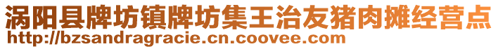 渦陽縣牌坊鎮牌坊集王治友豬肉攤經營點
